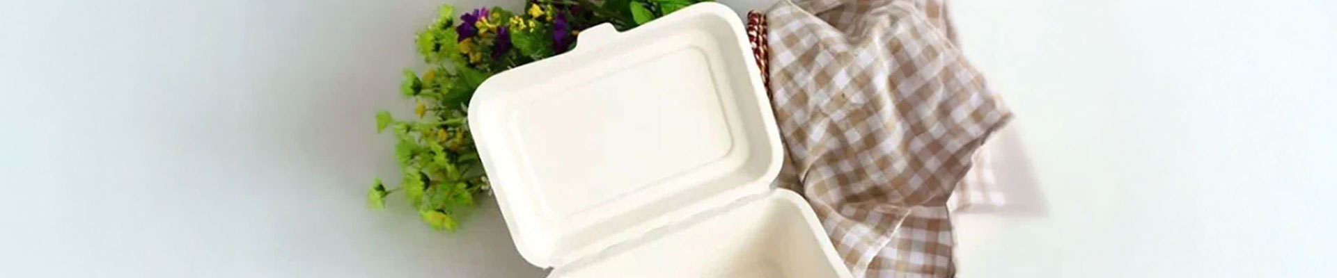 What is Bagasse Material? 