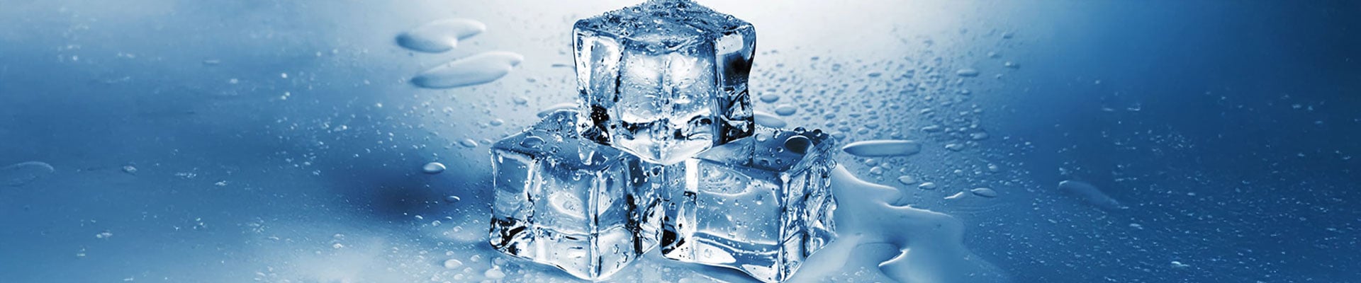 Ice Machine Buyers Guide