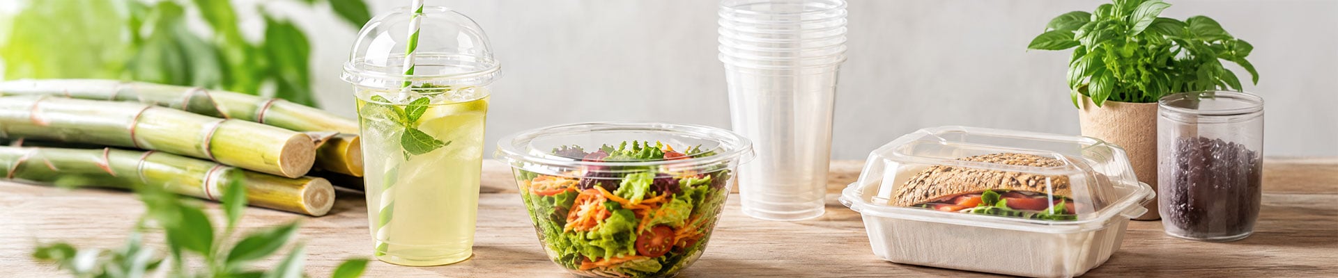 PLA plastic Biodegradable Bioplastic 