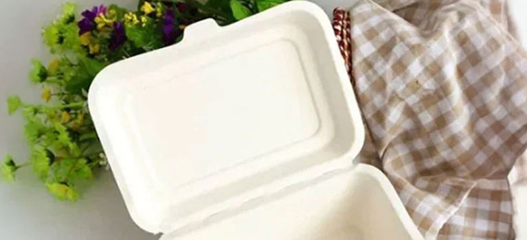 What is Bagasse Material? 