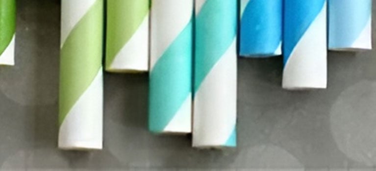 Biodegradable Straws Key Facts