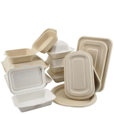 Bagasse Boxes