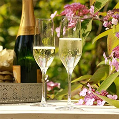 Crystal Champagne Glasses