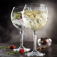 Gin Balloon Glasses