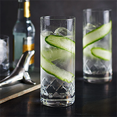 Highball Gin Glasses