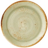 Steelite Craft Green Coupe Plate 23cm/9" (Pack of 24)