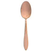 Varick Fulton Vintage Copper Teaspoon (Pack of 12)