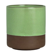 Maham Studio Spice Market Cardamom Cup 240ml/8.5oz (Pack of 12)