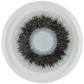 Churchill Studio Prints Fusion Black Walled Plate 21cm/8.25" (Pack of 6)