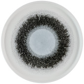 Churchill Studio Prints Fusion Black Walled Plate 26cm/10.1875" (Pack of 6)