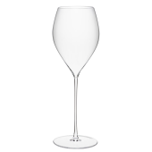 Rona Arte Champagne Glasses 290ml/10oz (Pack of 2)