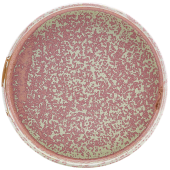 Terra Porcelain Rose Low Presentation Plate 18cm/7" (Pack of 6)