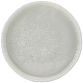 Incise Porcelain Lucine Presentation Plate 18cm/7" (Pack of 6)