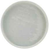 Incise Porcelain Lucine Presentation Plate 25cm/10" (Pack of 6)
