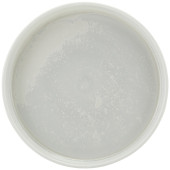 Incise Porcelain Lustre Presentation Plate 18cm/7" (Pack of 6)
