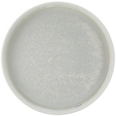 Incise Porcelain Lustre Presentation Plate 25cm/10" (Pack of 6)