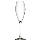 Seine Crystal Flute Glasses 260ml/9.25oz (Pack of 6)