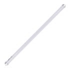 Eazyzap Spare Tube T8 F10W for SPFD498 and SPFP985