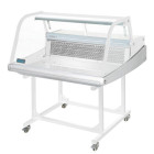 Polar G-Series Countertop Serve Over Fish Fridge 175 Litre + Trolley Stand