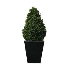 Bolero Artificial Plant Topiary Buxus Pyram 1200mm
