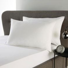 Mitre Essentials Palace Value Pillow