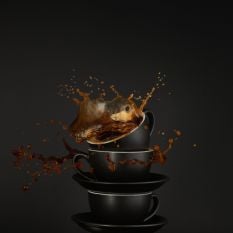 Bevande Raven Teapot with Infuser 500ml/17oz