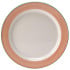 Steelite Rio Pink Slimline Plate 27cm/10.5" (Pack of 24)