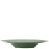 Steelite Folio Concorde Fern Rim Pasta Bowl 28.5cm/11" 350ml/12oz (Pack of 12)