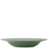 Steelite Folio Concorde Fern Rim Soup Plate 24cm/9.5" 310ml/11oz (Pack of 12)