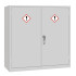 COSHH Cabinet - Double Door (30 Litre)