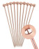 Copper Ball Stainless Steel Garnish Picks Reusable Pack of 10