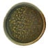 Kozo Porcelain Midori Coupe Plate 22.8cm/9" (Pack of 6)