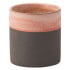 Coral Chip Pot 300ml/10.25oz (Pack of 6)