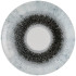 Churchill Studio Prints Fusion Black Evolve Coupe Plate 26cm/10.1875" (Pack of 12)