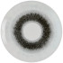 Churchill Studio Prints Fusion Black Evolve Coupe Plate 28.8cm/11.3125" (Pack of 12)