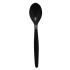 Copolyester Reusable Teaspoon (Pack of 10)