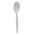 Polycarbonate Antibacterial Reusable Teaspoon (Pack of 10)