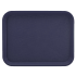 Polypropylene Large Serving Tray 45 x 35cm