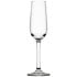 Lucent Osborne Champagne Flutes 175ml/6oz (Pack of 6)