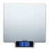 Taylor Pro Large Platform Stainless Steel Digital Kitchen Scale 10kg