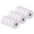 Mini Jumbo Toilet Roll 3 Inch Core 2 Ply (Pack of 12)