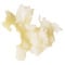 Robot Coupe 27130 1.3mm Horseradish Grating Disc