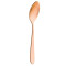 Rio Copper Teaspoon (Pack of 12)