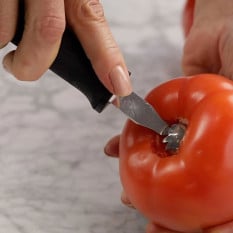 Perfect Grip Tomato Stem Corer