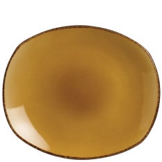 Steelite Terramesa Mustard Spice Plate 25.5cm/10" (Pack of 24)