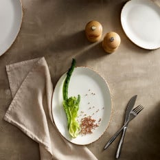 Steelite Brown Dapple Oval Coupe Plate 30.5cm/12" (Pack of 12)
