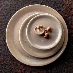 Steelite Revolution Sandstone Coupe Plate 28cm/11" (Pack of 12)