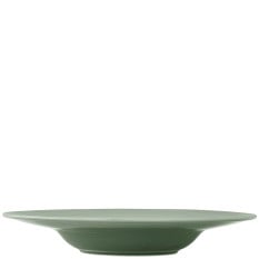Steelite Folio Concorde Fern Rim Pasta Bowl 28.5cm/11" 350ml/12oz (Pack of 12)