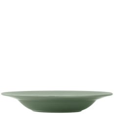 Steelite Folio Concorde Fern Rim Soup Plate 24cm/9.5" 310ml/11oz (Pack of 12)