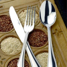 Eternum Anser Table Knife (Pack of 12)